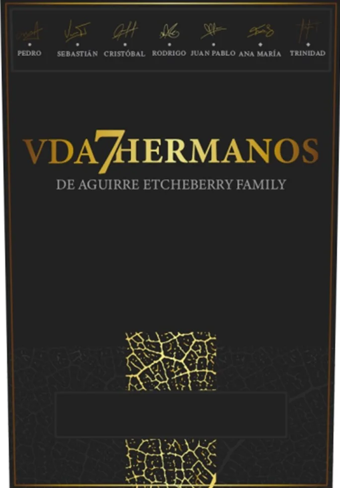 PEDRO SEBASTIÁN CRISTÓBAL RODRIGO JUAN PABLO ANA MARÍA TRINIDAD VDA 7 HERMANOS DE AGUIRRE ETCHEBERRY