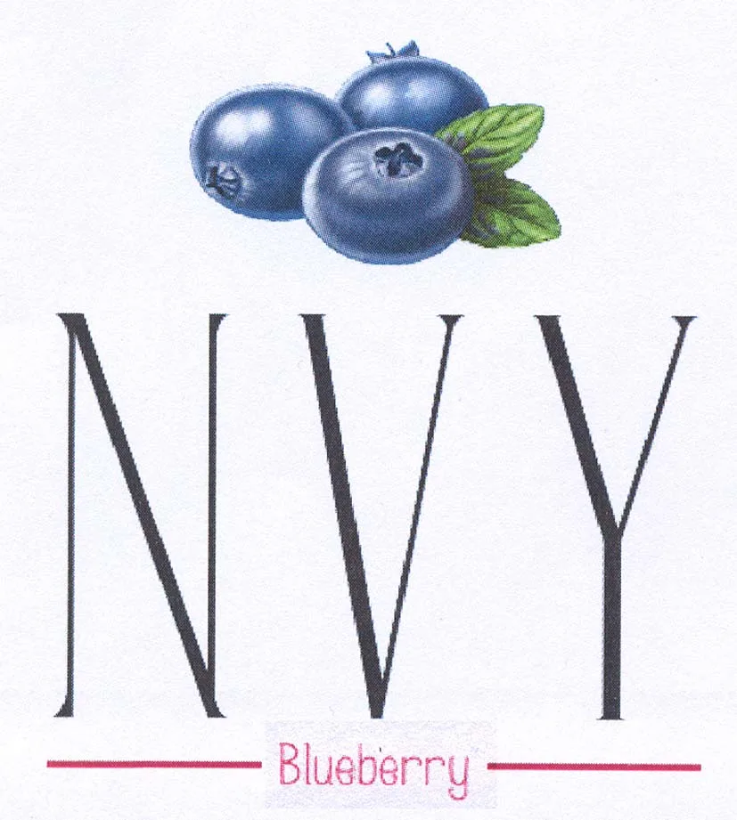 NVY BLUEBERRY
