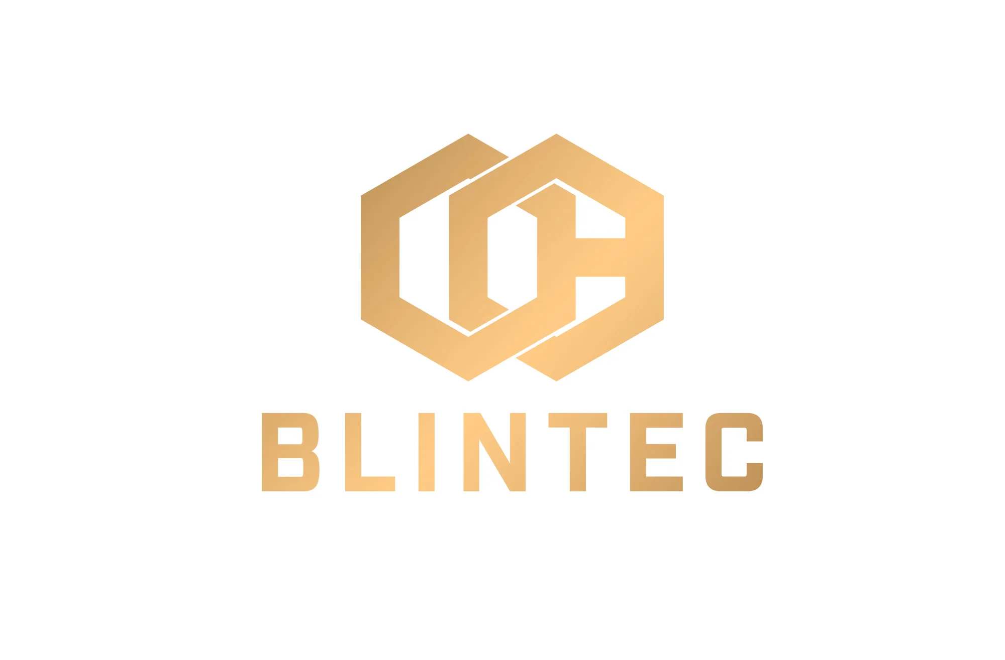 BLINTEC