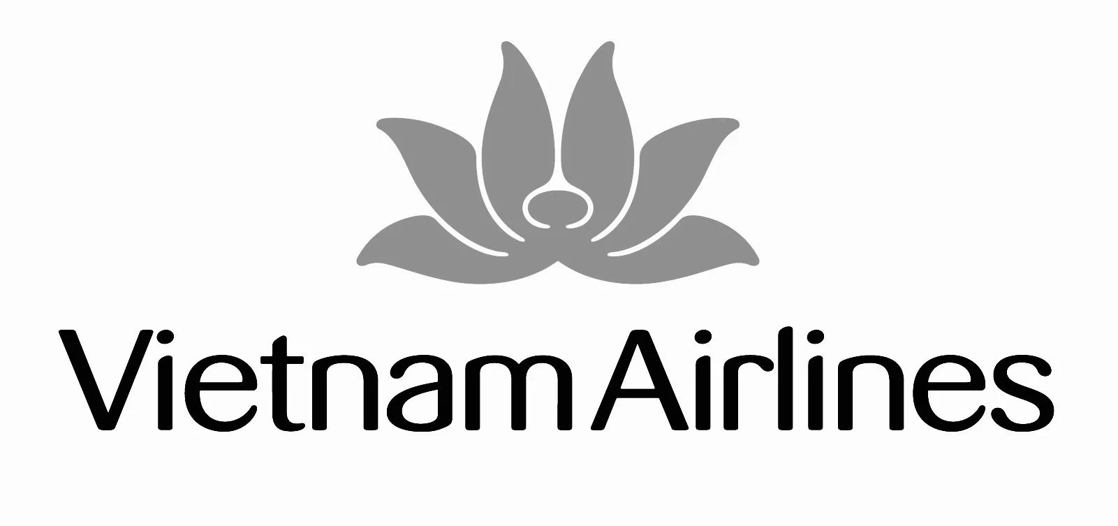 VIETNAM AIRLINES