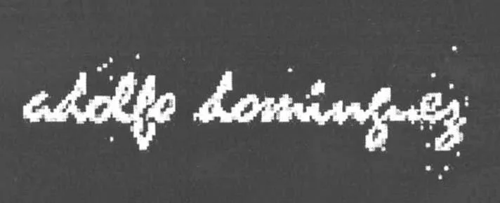 ADOLFO DOMINGUEZ