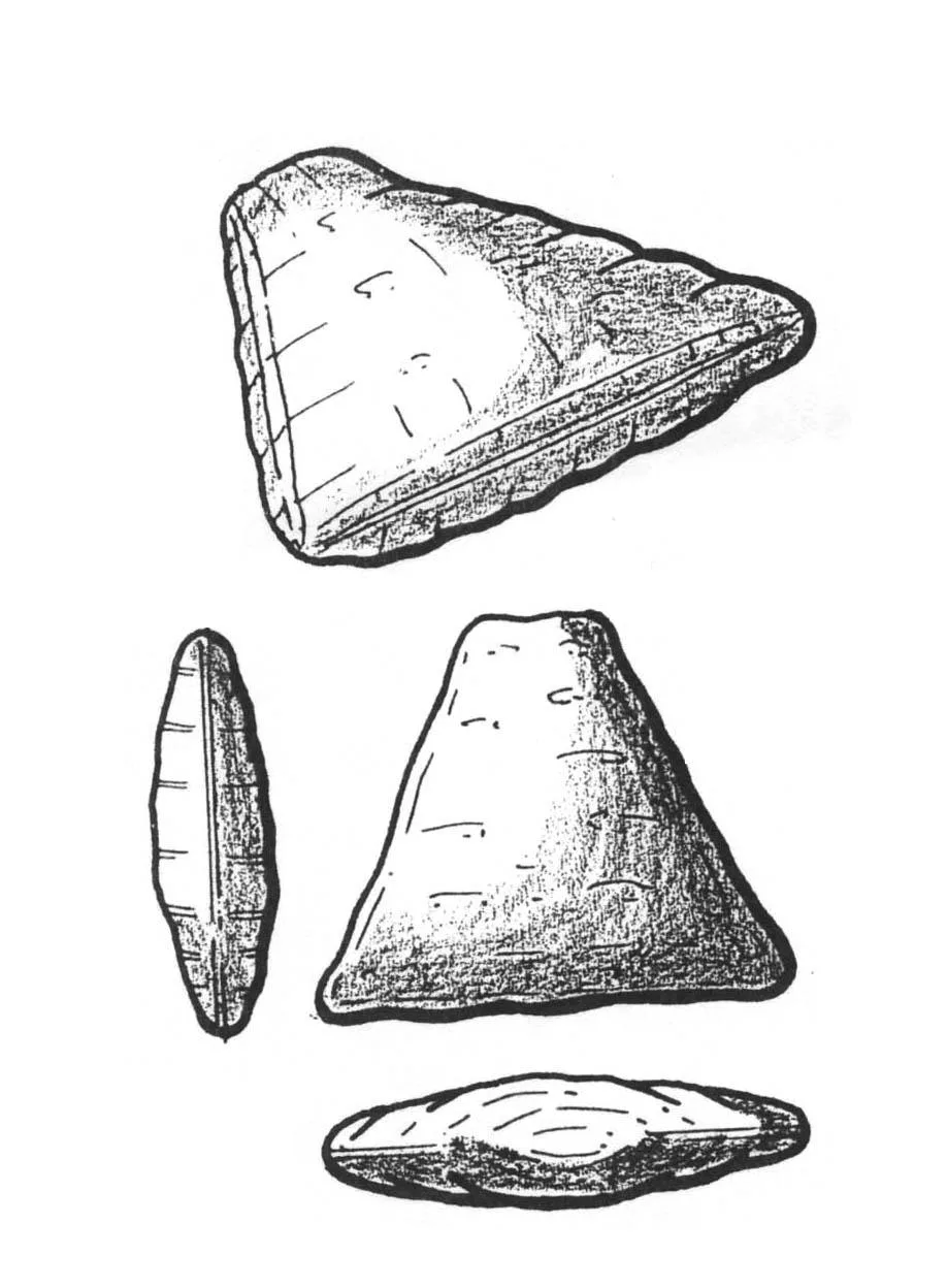 Acta 884634