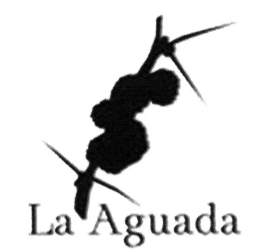 LA AGUADA