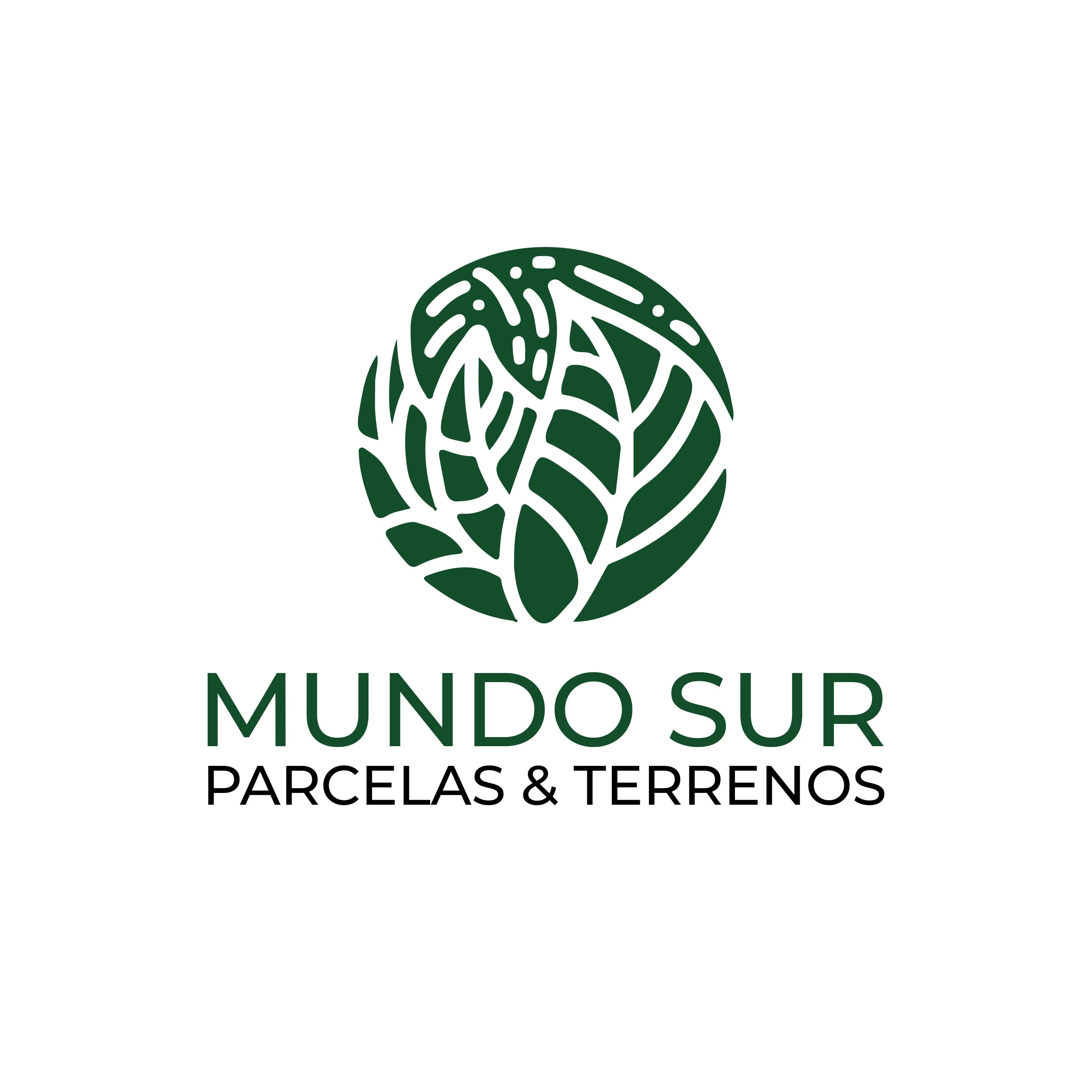 MUNDO SUR PARCELAS & TERRENOS