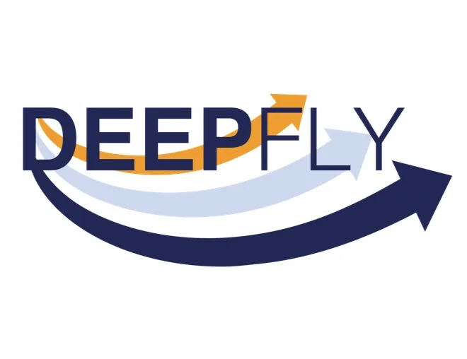 DEEPFLY