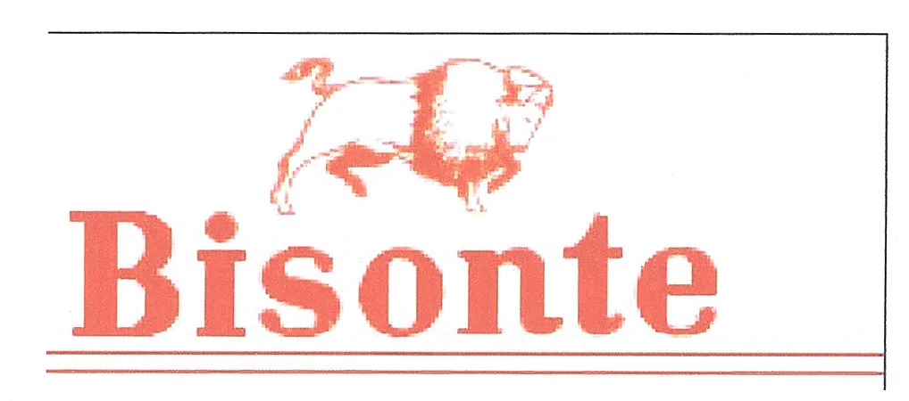 BISONTE