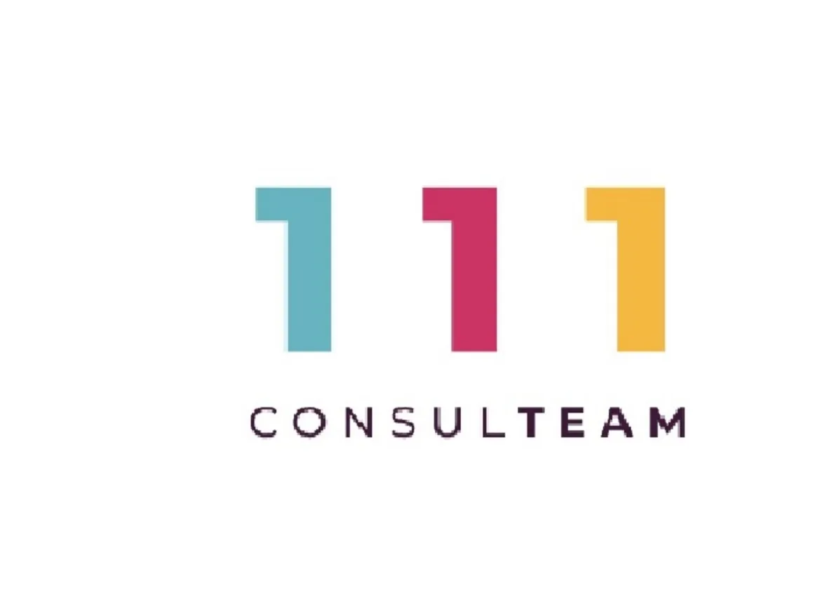 111 CONSULTEAM