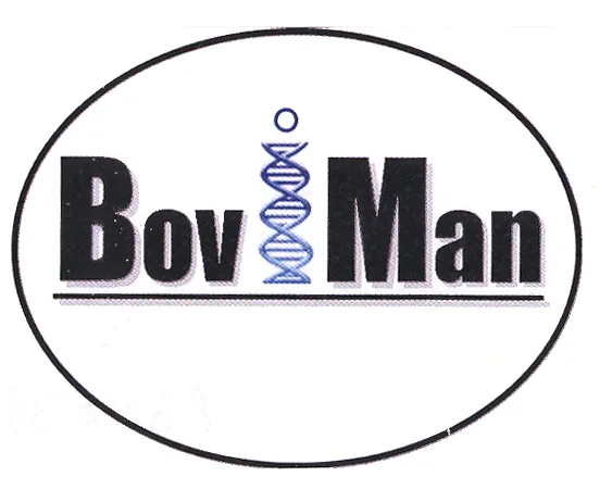 BOVIMAN
