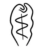 Acta 1141639