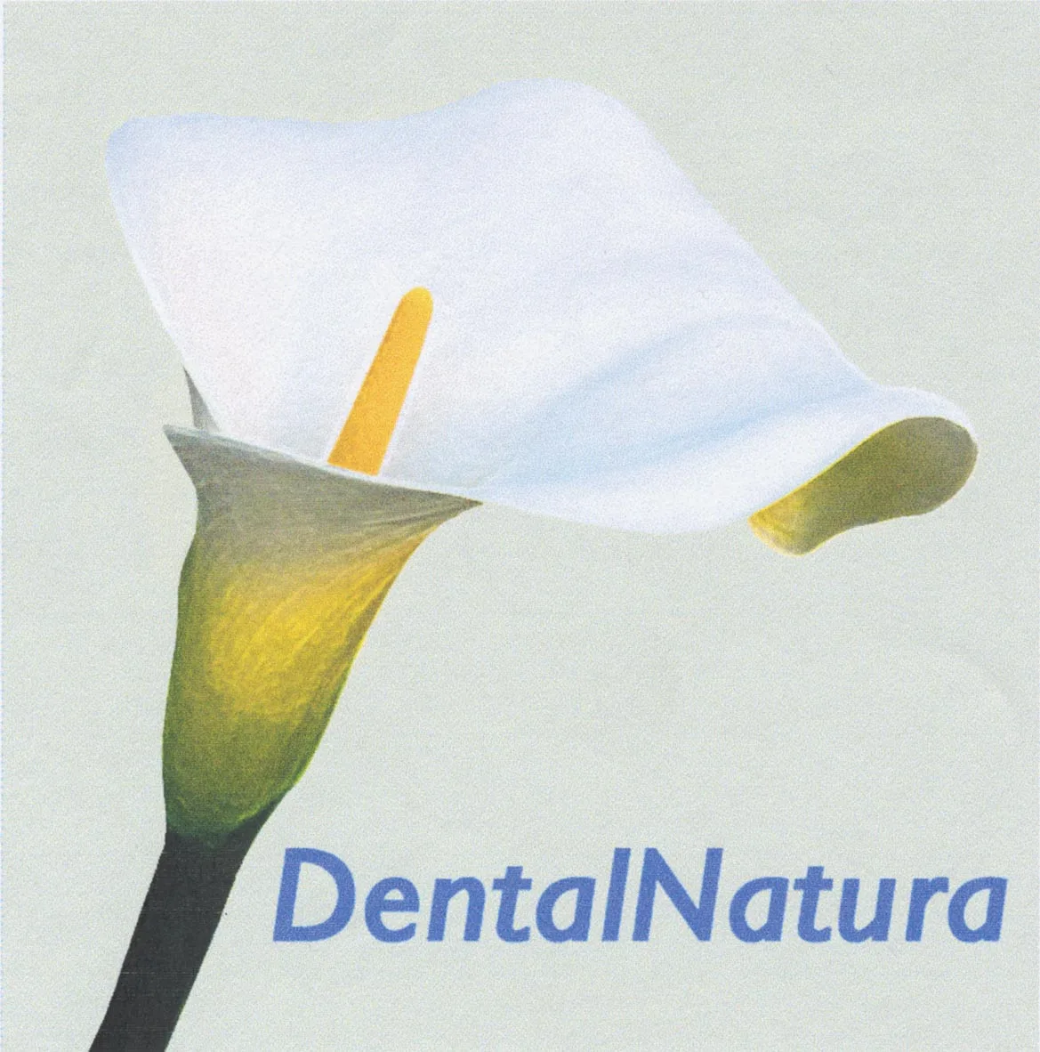 DENTALNATURA