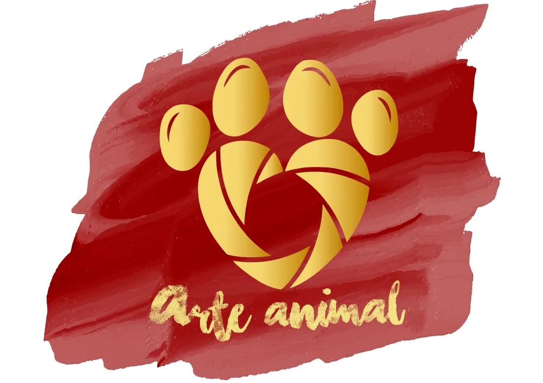 ARTE ANIMAL