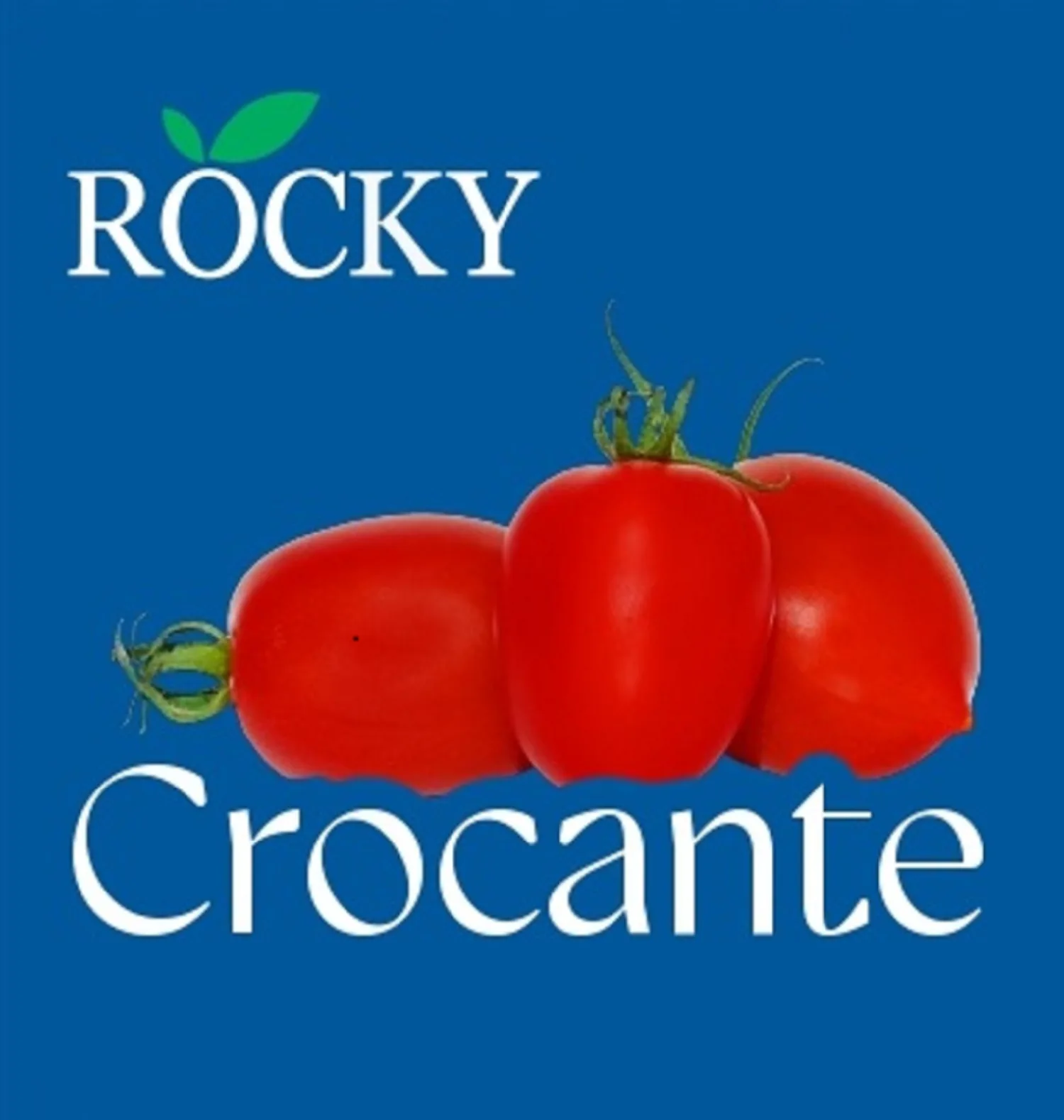 ROCKY CROCANTE