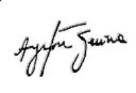 AYRTON SENNA