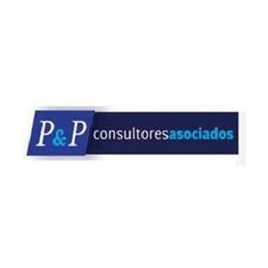 P&P CONSULTORES ASOCIADOS