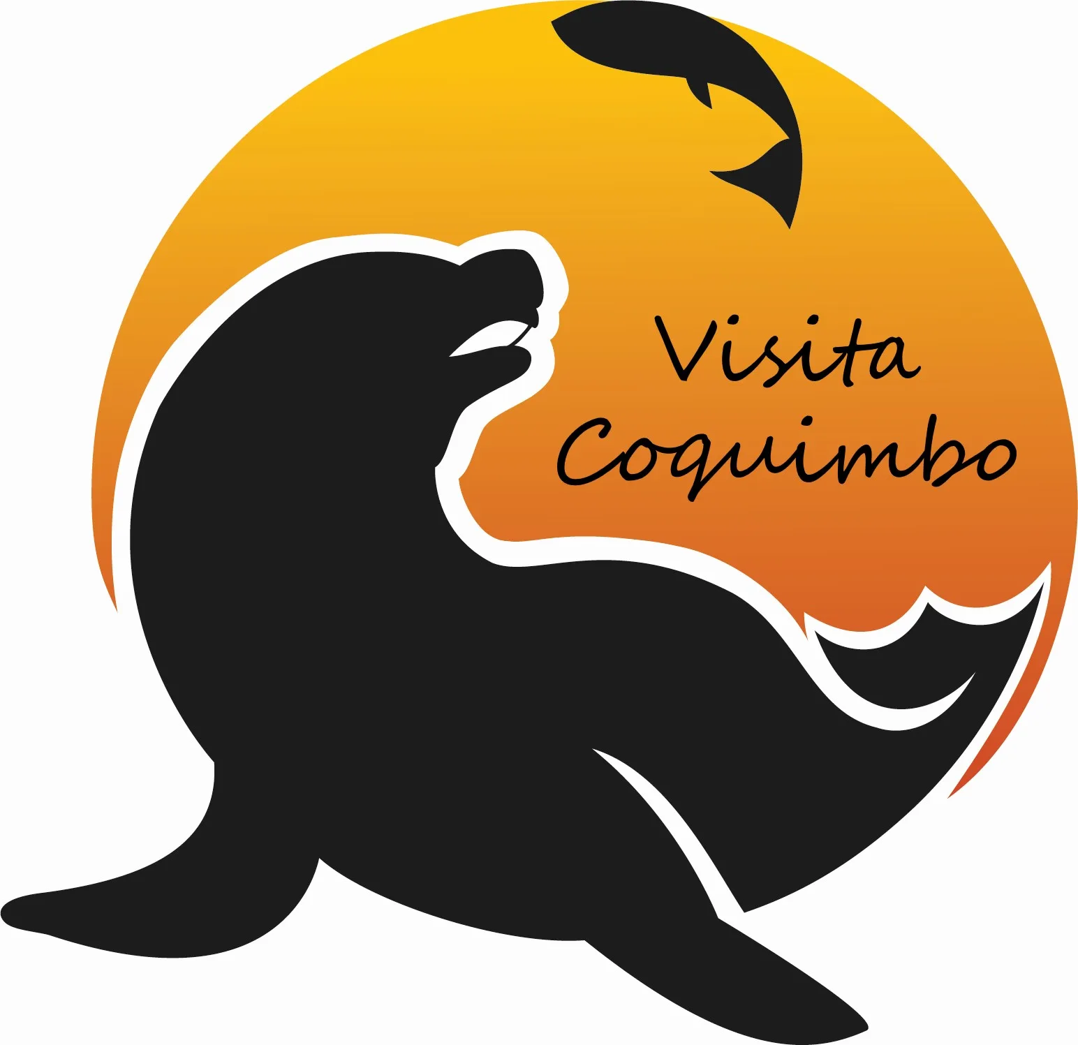 VISITA COQUIMBO