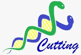 Cutting