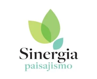 SINERGIA PAISAJISMO