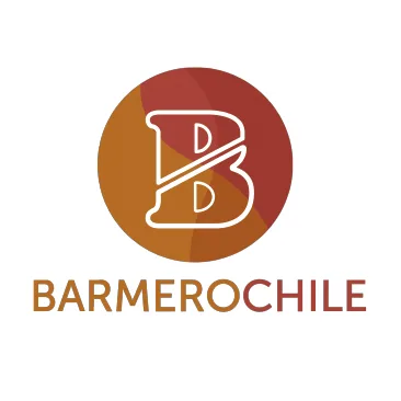 B Barmerochile