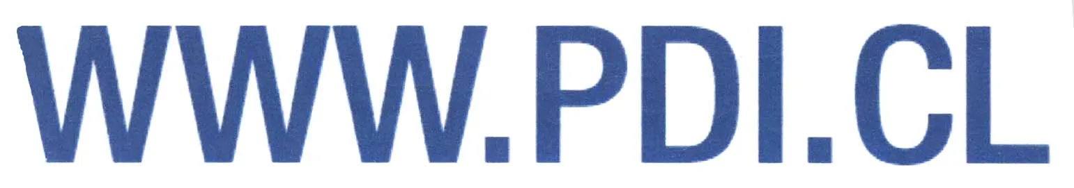 WWW.PDI.CL