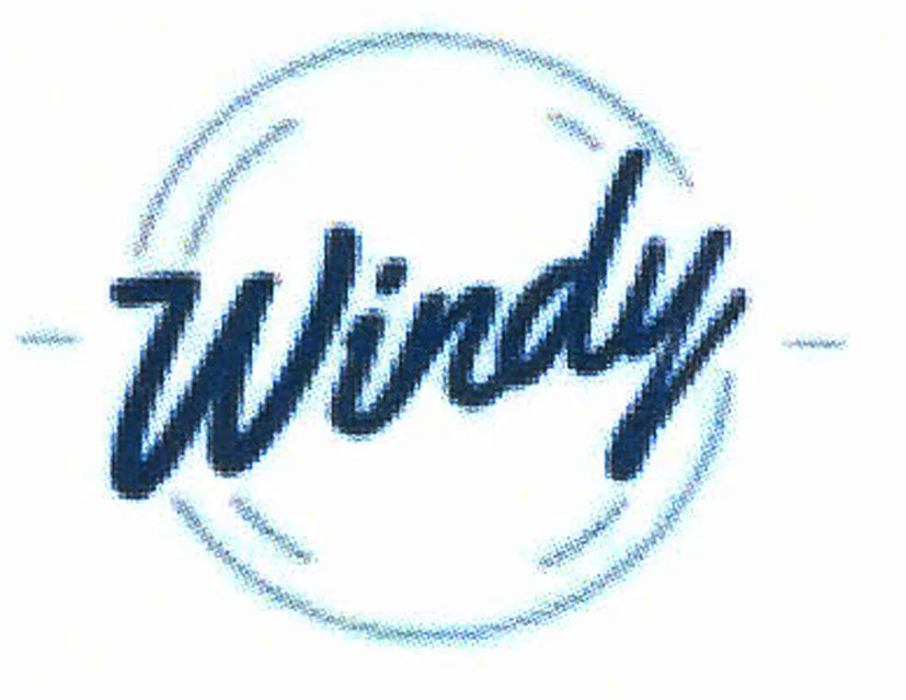 Windy
