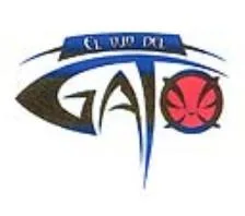 EL OJO DEL GATO