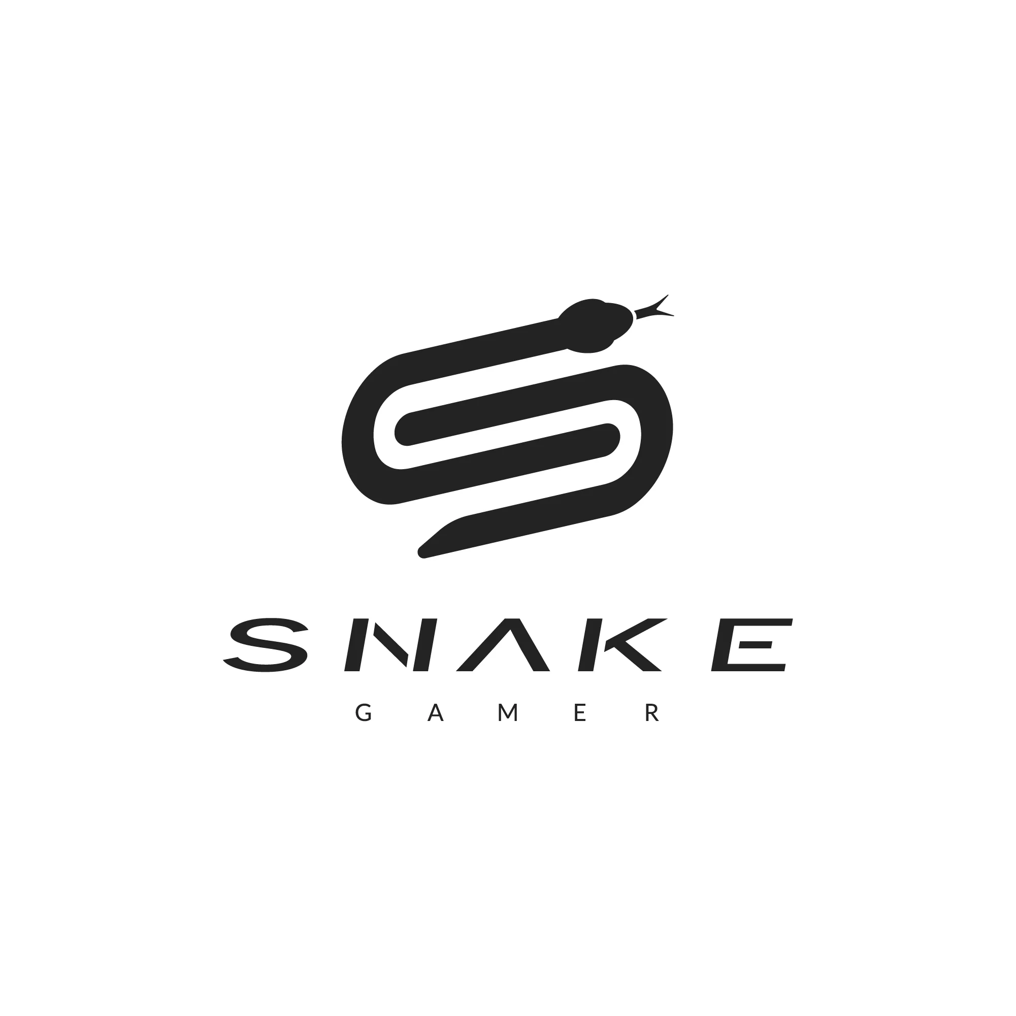 SNAKE GAMER