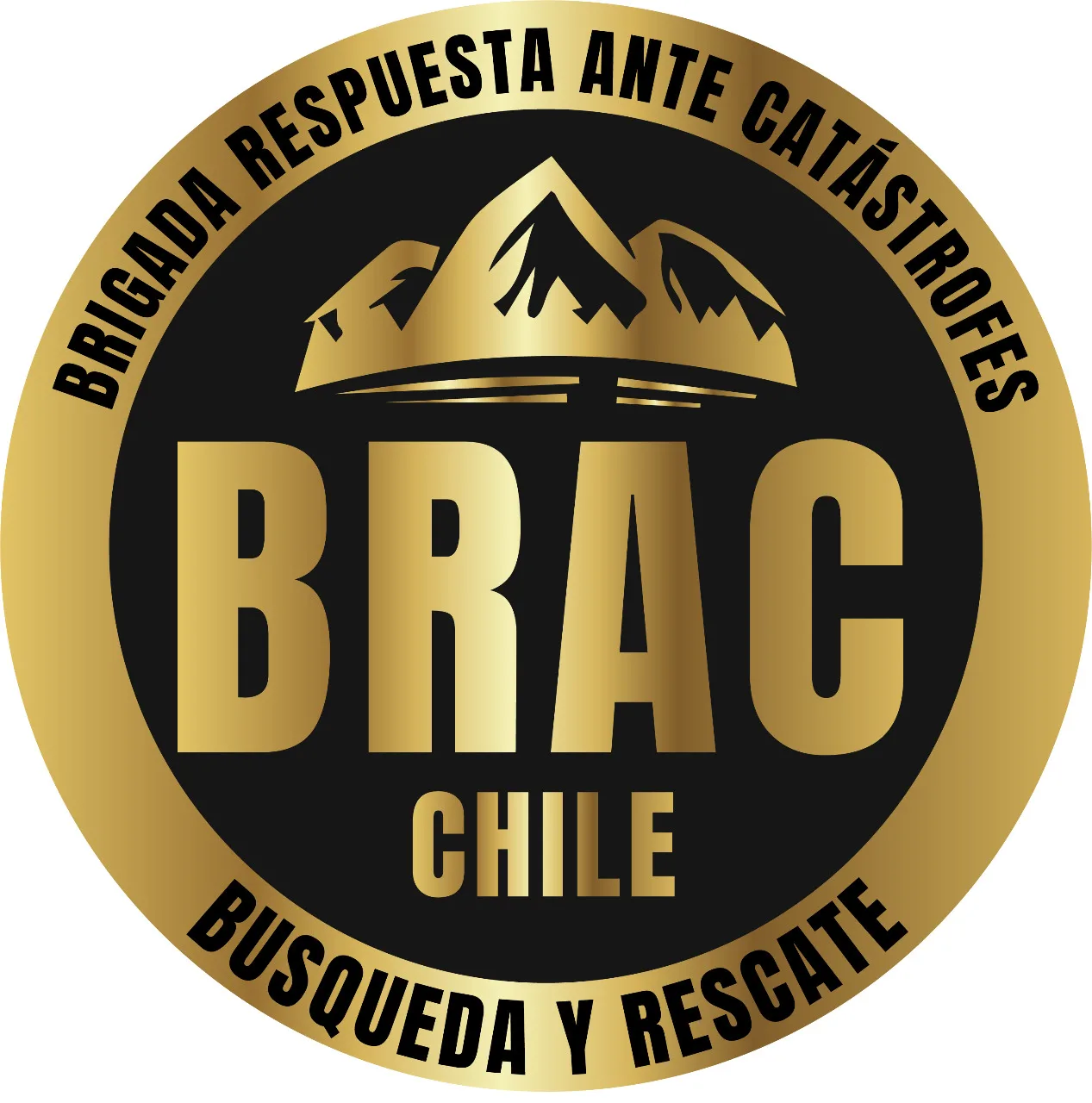 Brigada Respuesta Ante Catástrofes Busqueda y Rescate BRAC CHILE