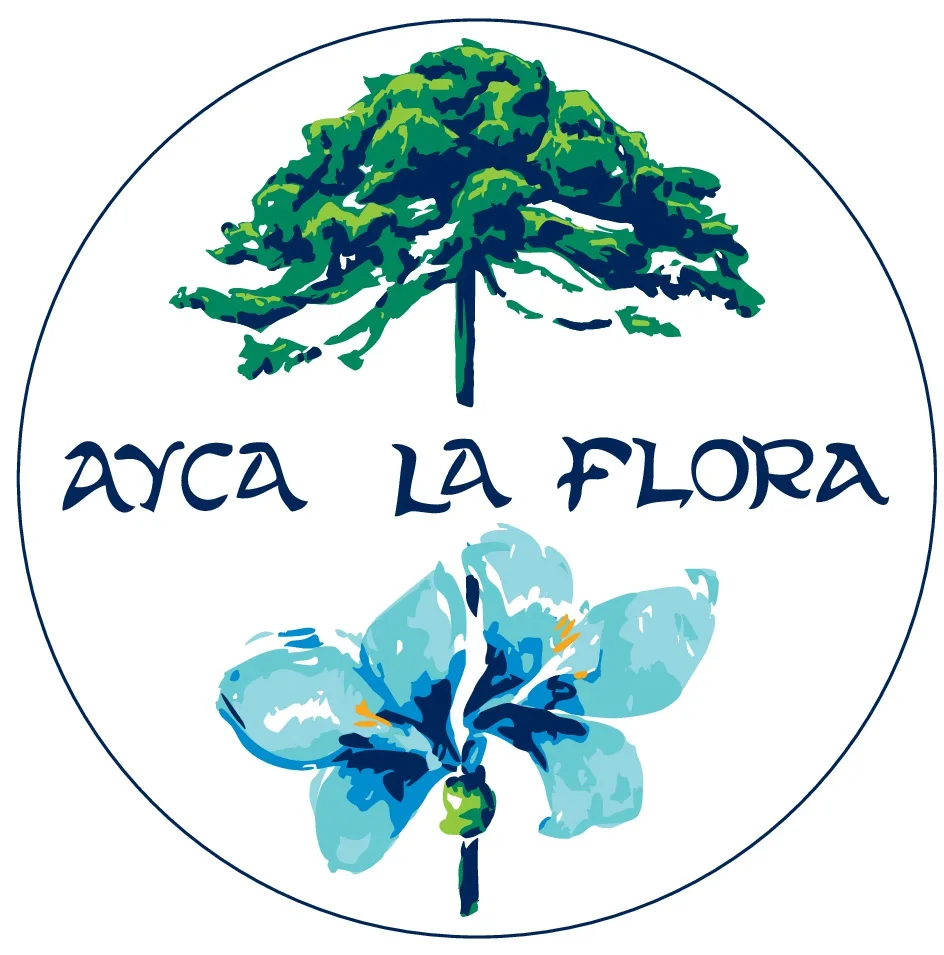 AYCA LA FLORA