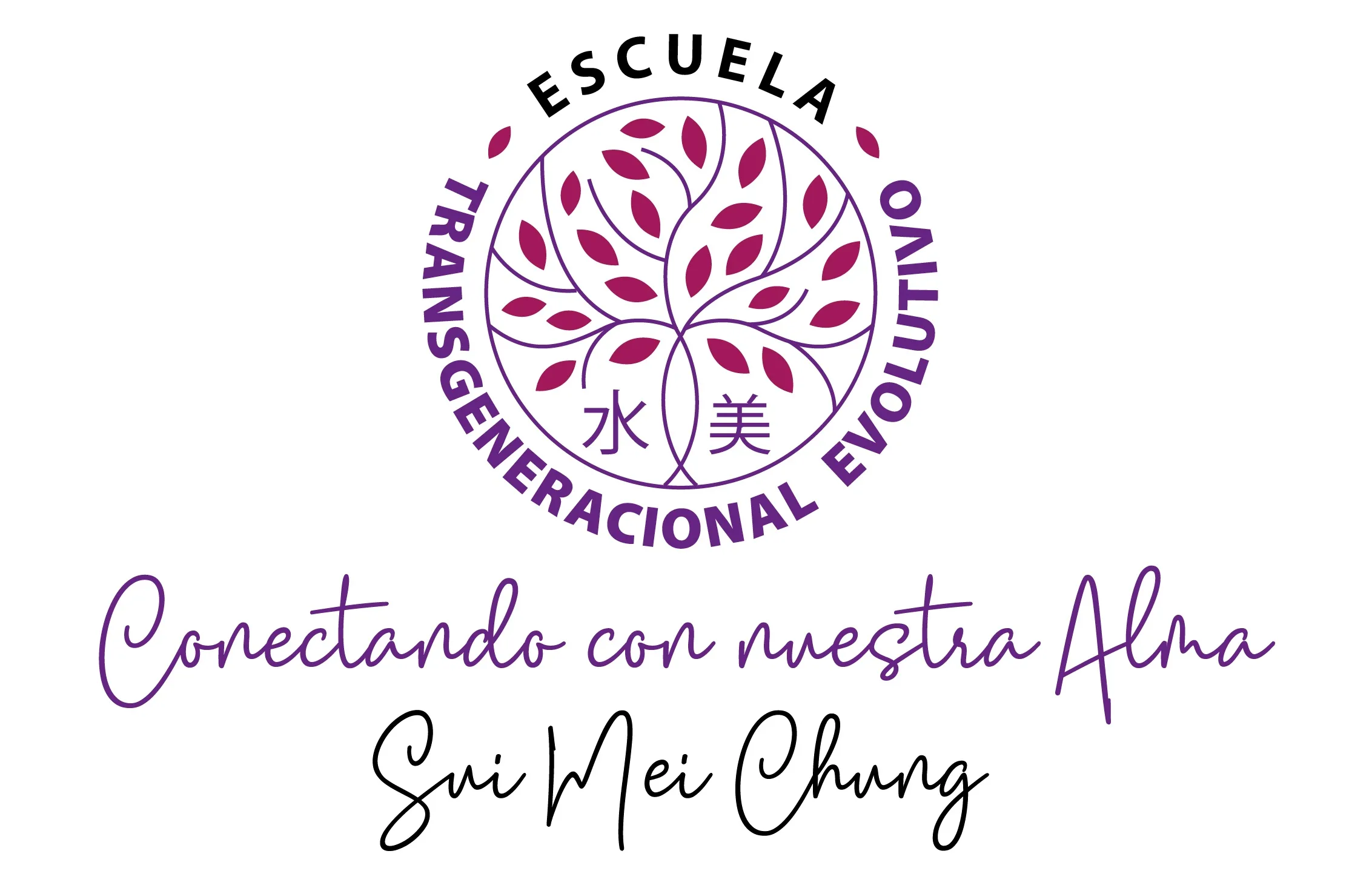 Escuela transgeneracional evolutivo Conectando con nuestra alma Sui Mei Chung