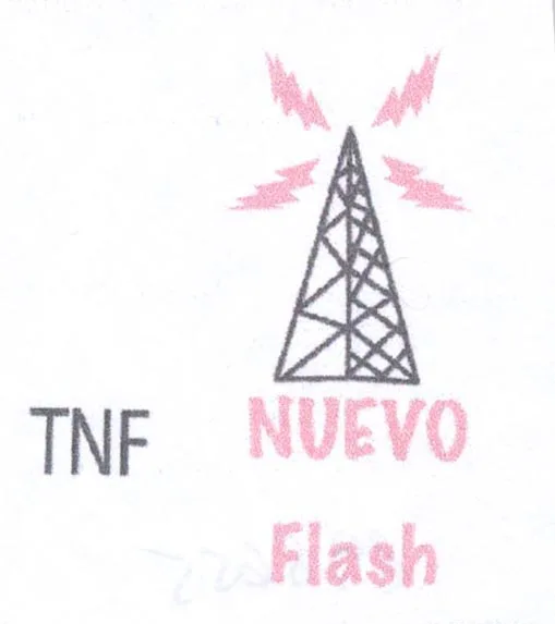TNF NUEVO FLASH