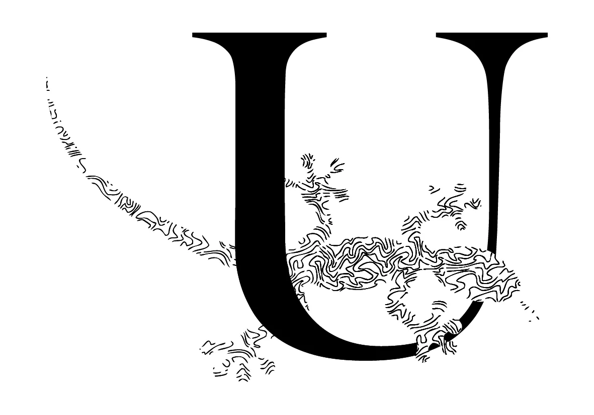 U