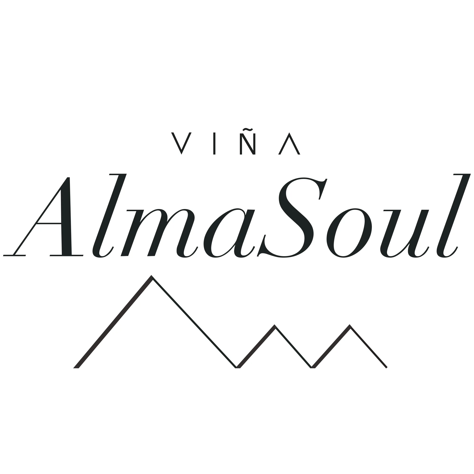 VIÑA ALMA SOUL