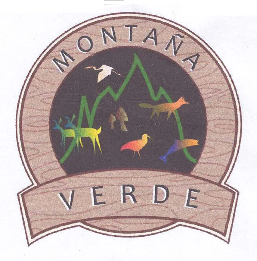 MONTAÑA VERDE