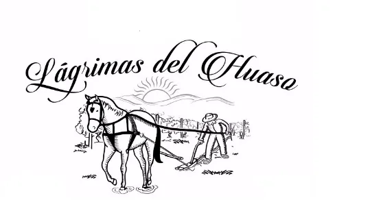 LAGRIMAS DEL HUASO