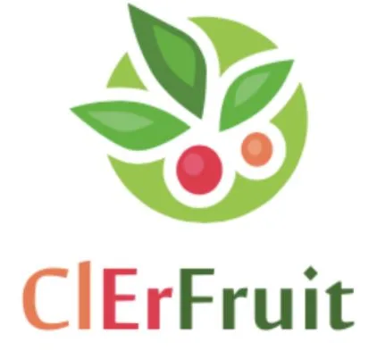 CLERFRUIT