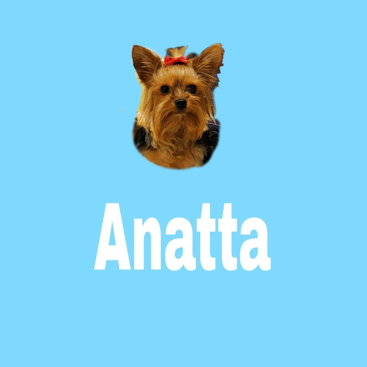 ANATTA