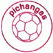 PICHANGAS