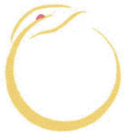 Acta 981662
