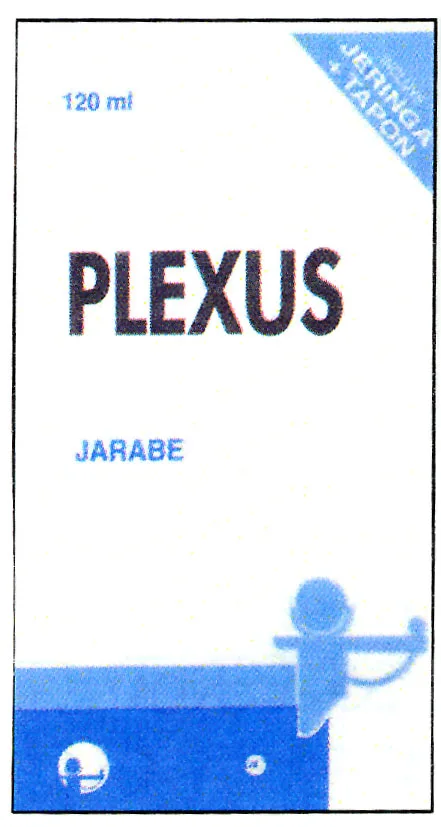 PLEXUS