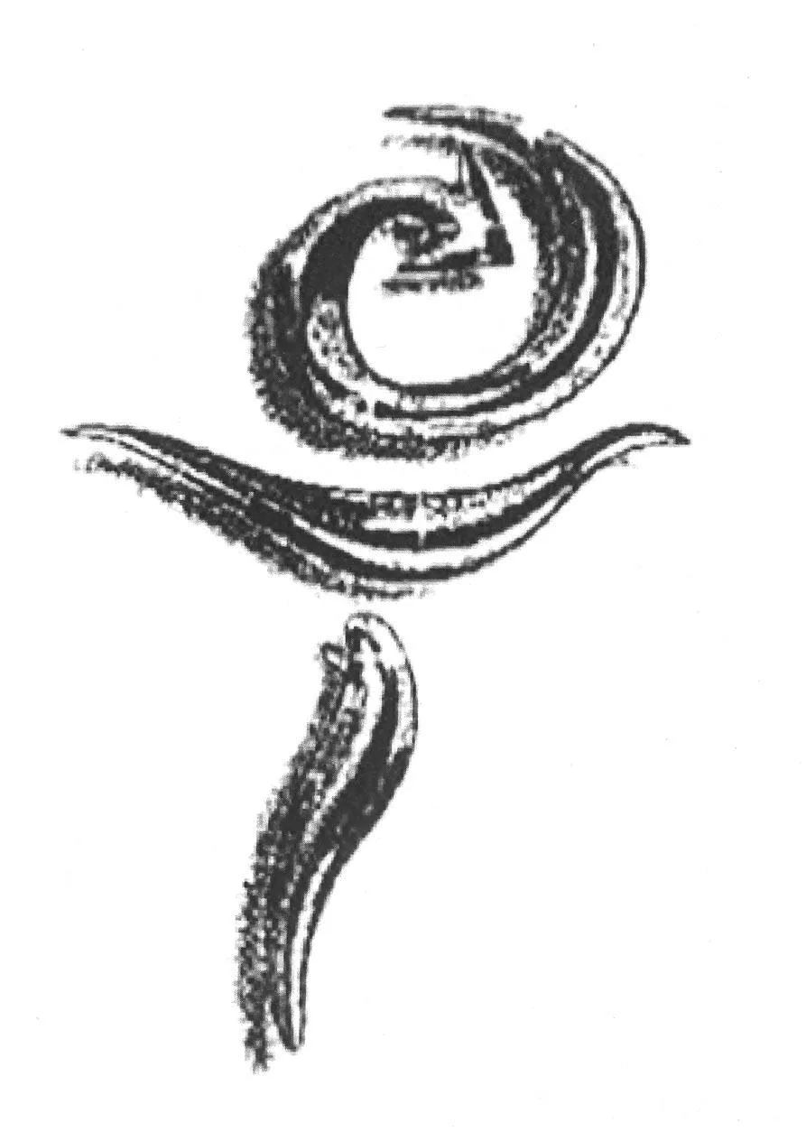 Acta 888663