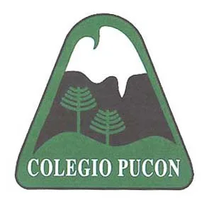 COLEGIO PUCON