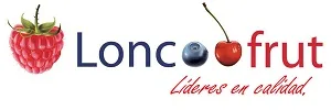 LONCOOFRUT
