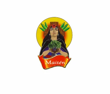 Maitén