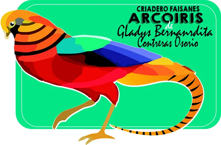CRIADERO FAISANES ARCOIRIS DE GLADYS BERNARDITA CONTRERAS OSORIO