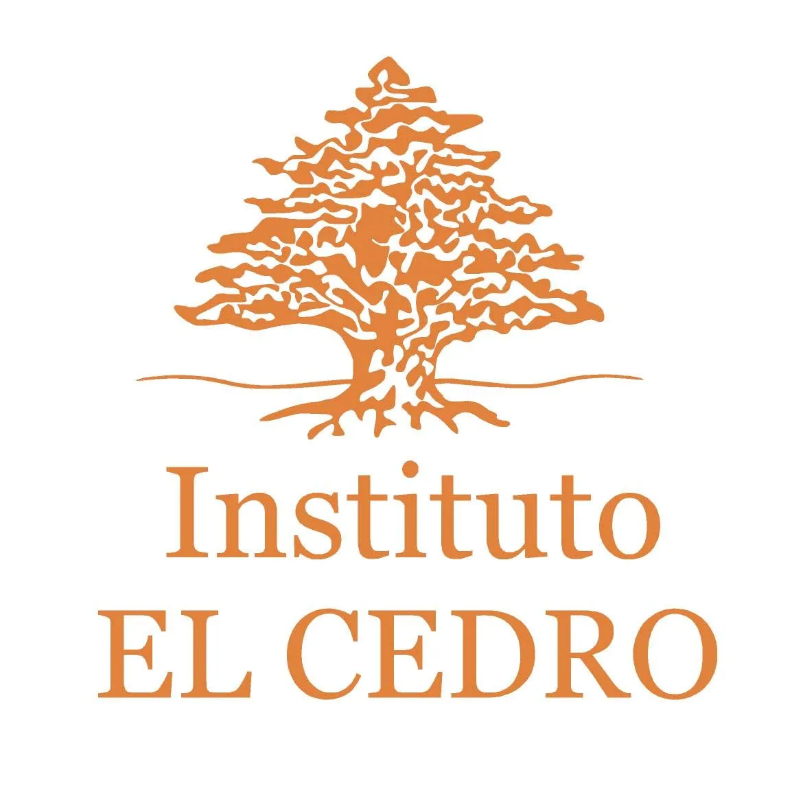 INSTITUTO EL CEDRO
