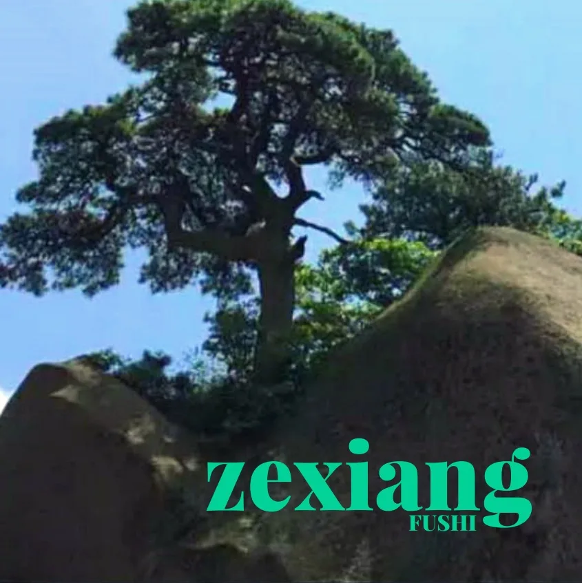 ZEXIANG FUSHI