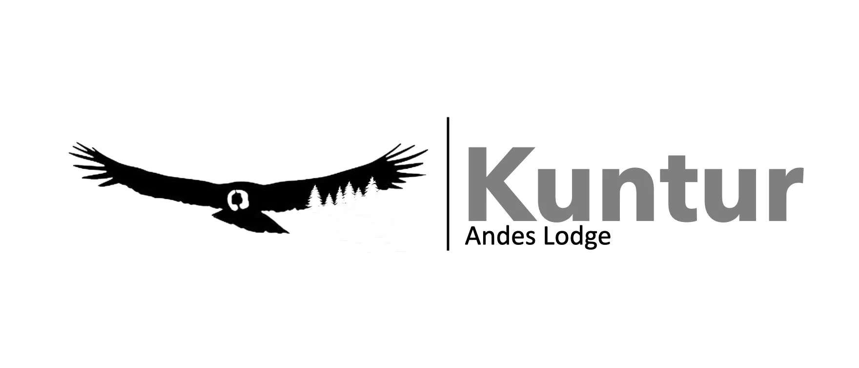 Kuntur