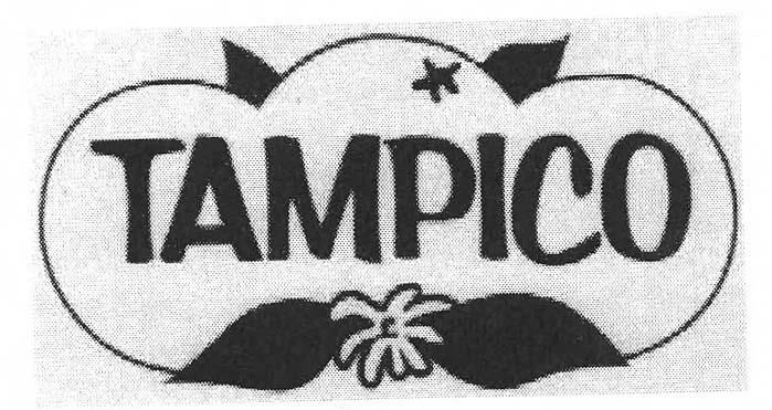 TAMPICO