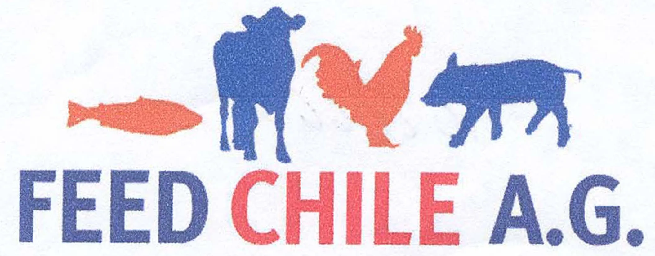 FEED CHILE A.G.