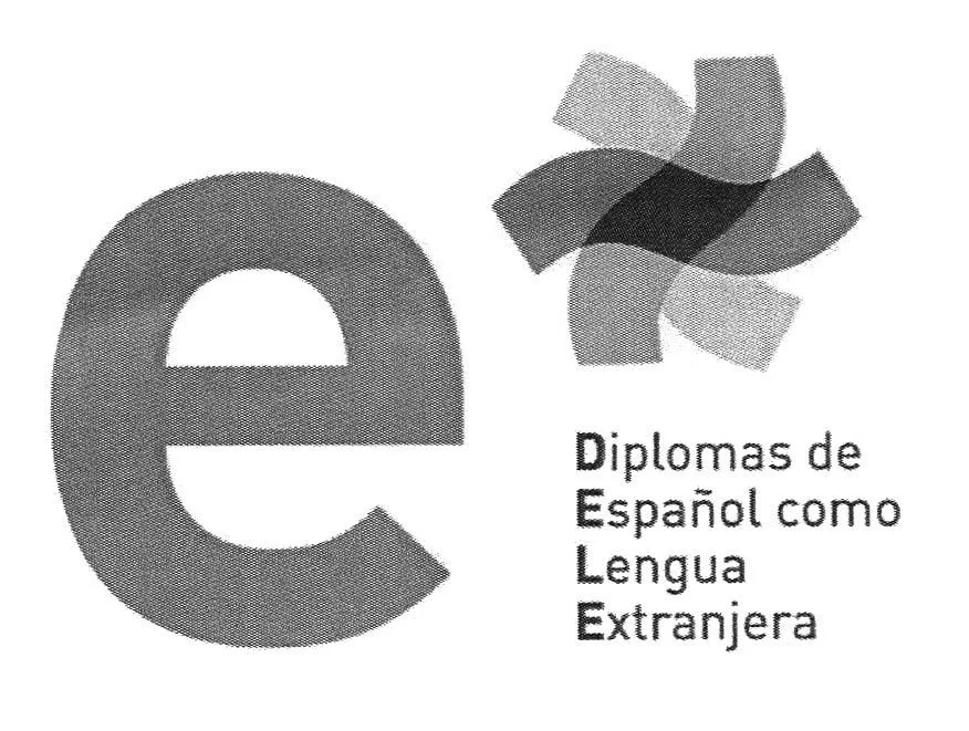 E DIPLOMAS DE ESPAÑOL COMO LENGUA EXTRANJERA